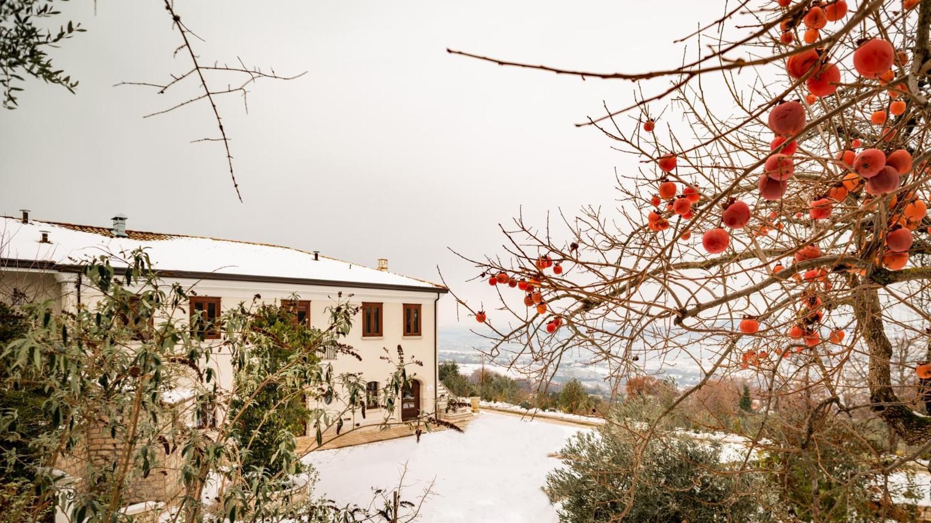 Il Mulino della Signora Luxury country House Frigento Extérieur photo